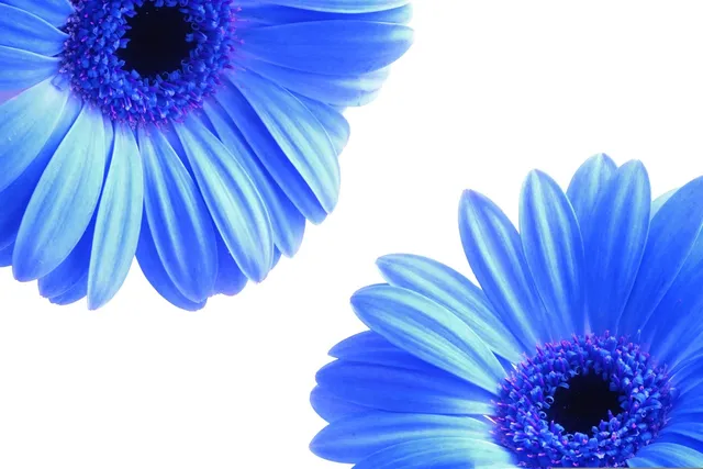 Slide background