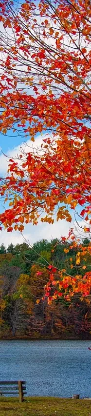 New England