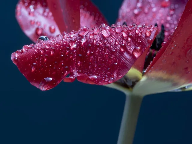 Slide background